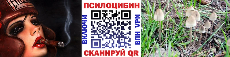 Галлюциногенные грибы GOLDEN TEACHER  закладки  hydra ССЫЛКА  Багратионовск 